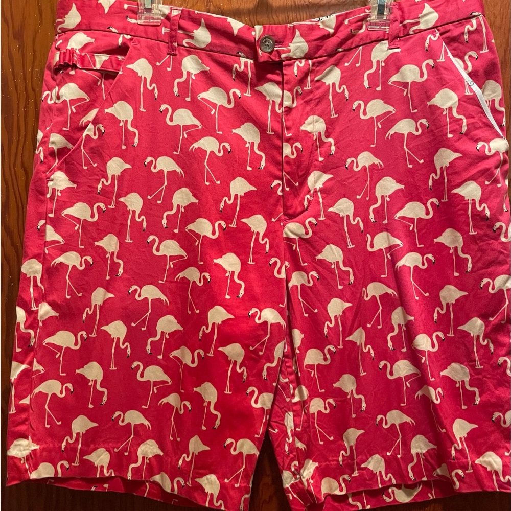 Men's Pink Flamingo-Print Flat Front Shorts
